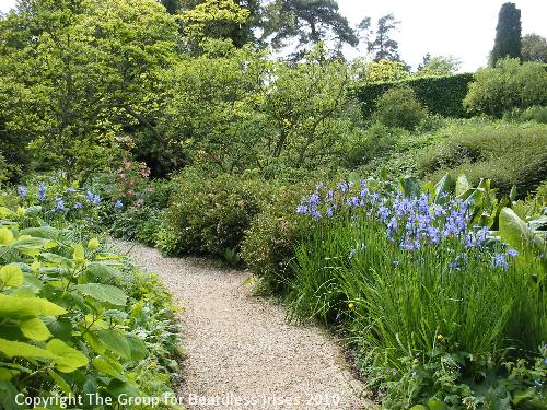 hidcote (07)